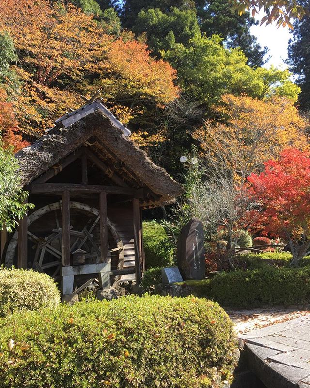 鹿野清流通り一人旅  オツなものですよ